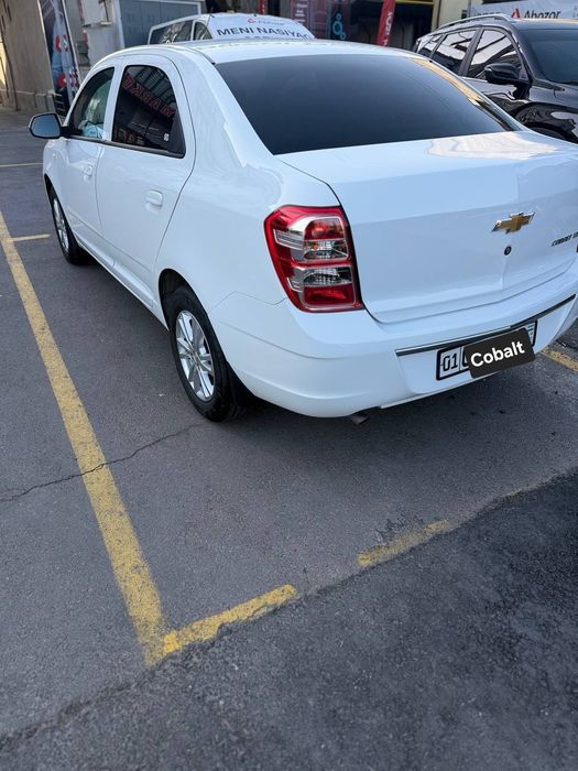 Kobalt MCM STYLE 2026