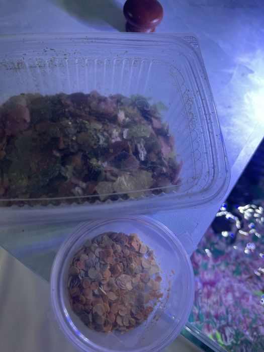 Большой аквариум  срочно продам