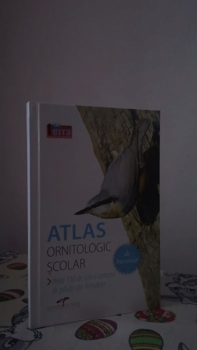 Colecție 5 cărți (istorie + geografie + BAC) – super ofertă