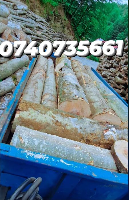 Lemn fag foc transport