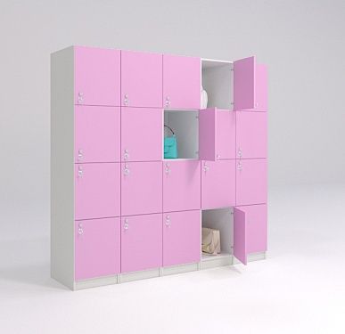 Шкаф купе ячейки Шкаф раздевалку