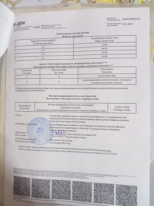 Злдд тигр прогюб