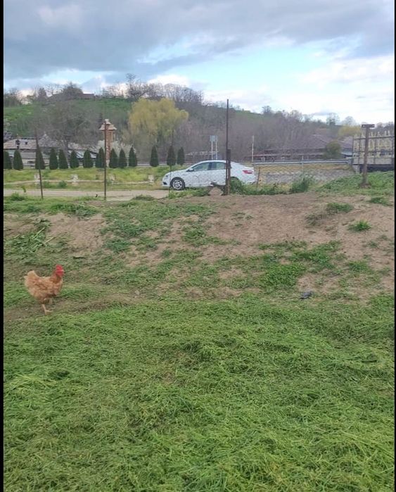 Teren intravilan CENTRAL Malcoci – 685 mp – utilități pe stradă – 14,9 €/mp (negociabil)