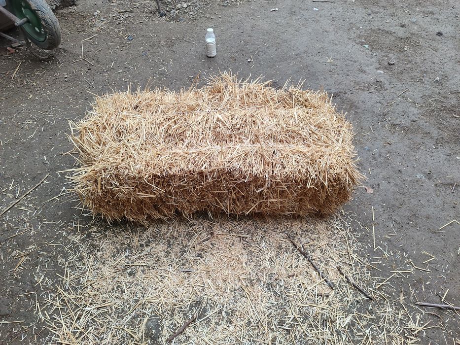 Chorva mol qoy uchun somon pres bor.