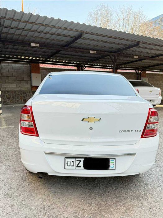 Коблт 2025 йил оқ ранг