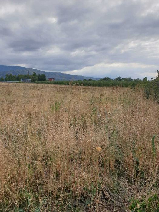 Продам участок,  звоните хозяину