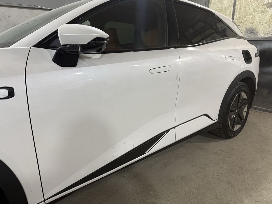 Костоправ маляр