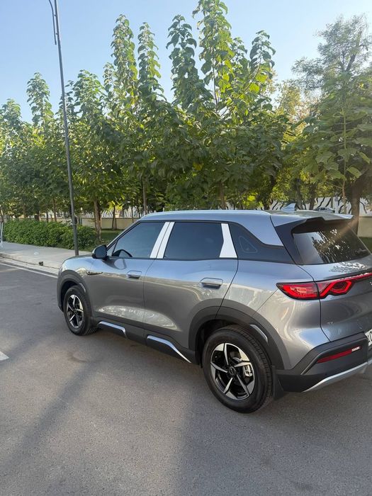 Byd yuan up 2025