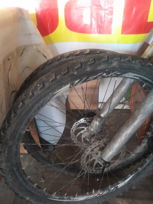 Продам всех дёшево срочно