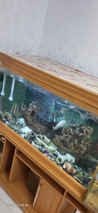 Аквариум для дома