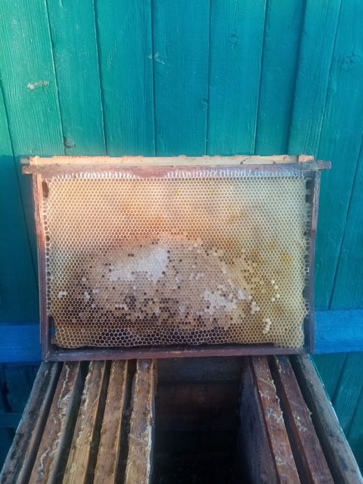 Продам рамки для пчёл системы дадан