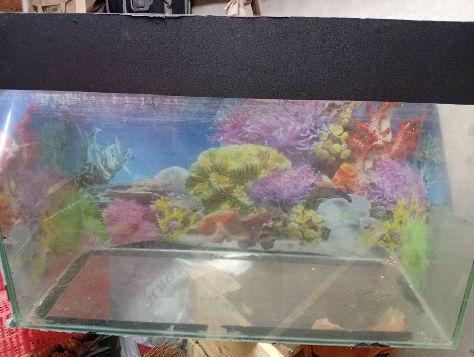 Аквариум для рыб