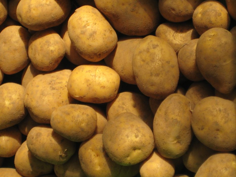 Семе Картофи СОРАЯ клас А