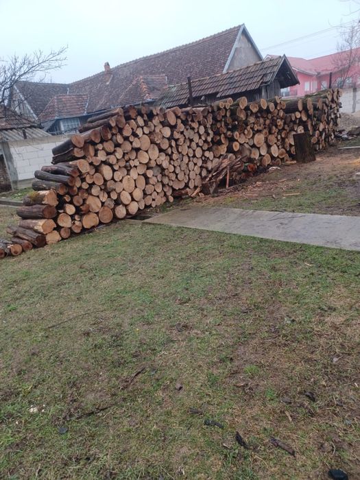 Vand lemn de foc uscat , transport gratuit