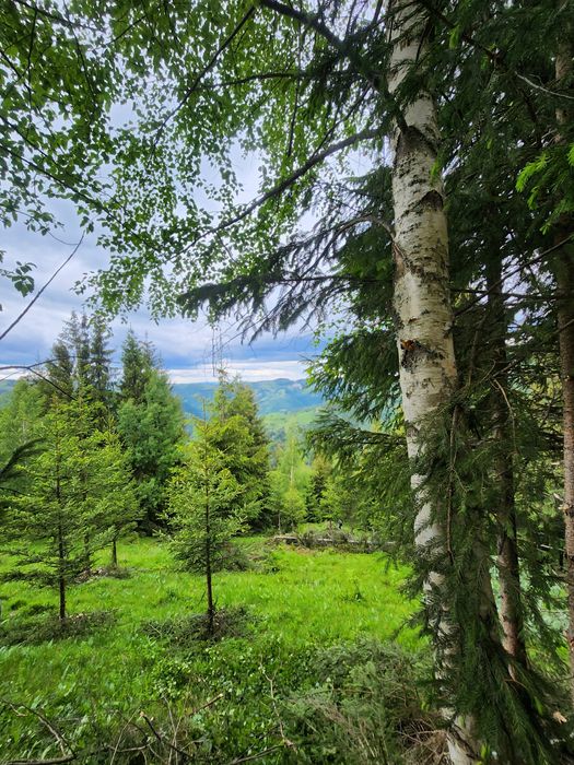 Vand teren  Maguri Racatau