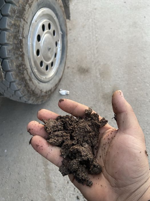 Навоз перегной с доставкой