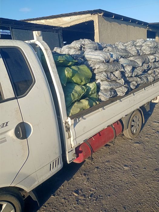 Кумур бор Казок Киргиз Зурии бор Доставка ичида