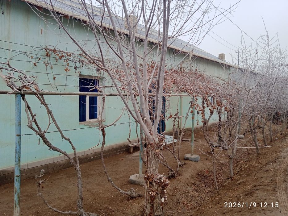 Shovot Boʻyrachida hovli joy sotiladi.