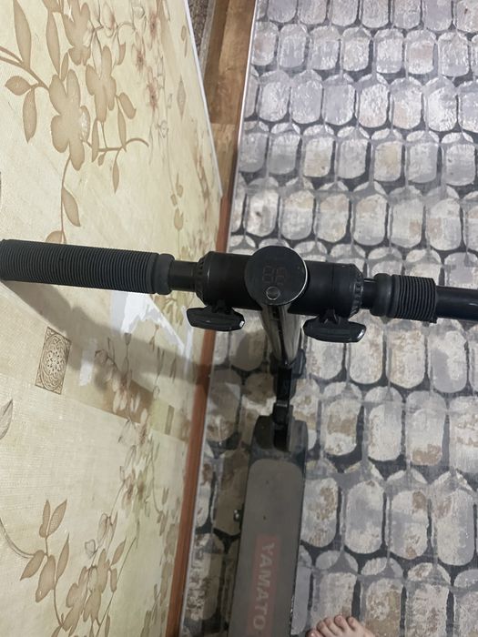 Электра  самакат