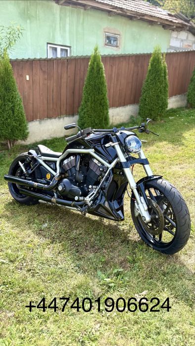 Harley Davidson V-rod Custom