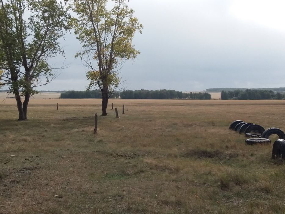 Фазенда. Продам фазенду