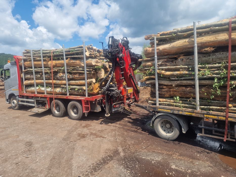 Lemn lemne de foc fag