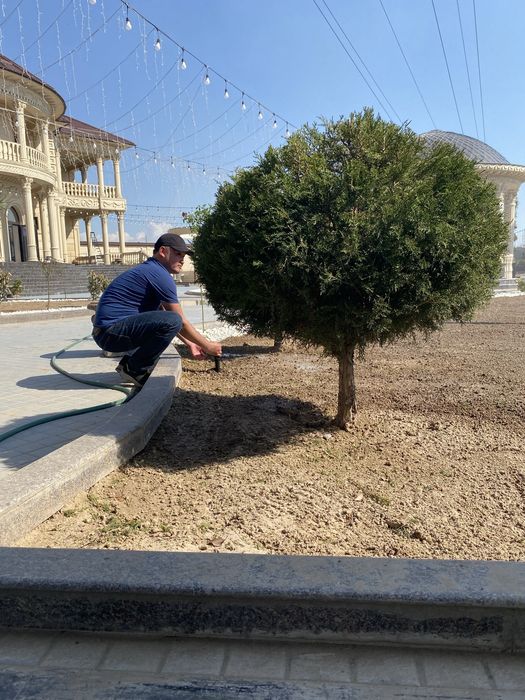 Рулонный газон, автополив,
