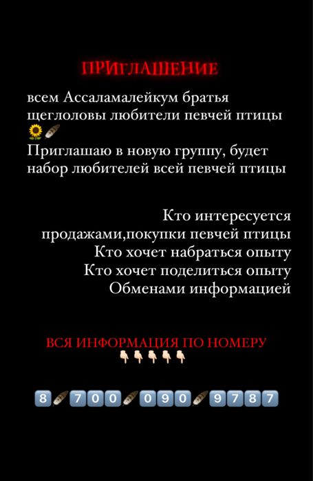 Щеглы седоголовые