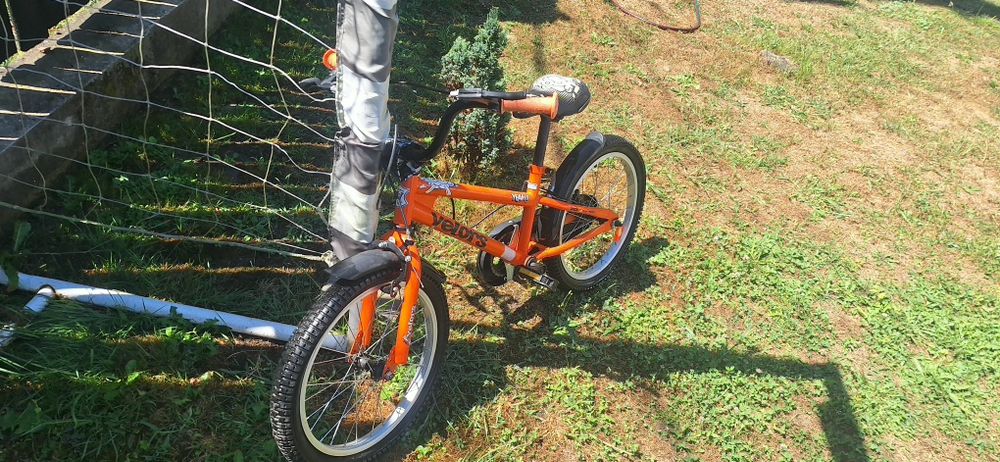 Bicicleta, trotineta