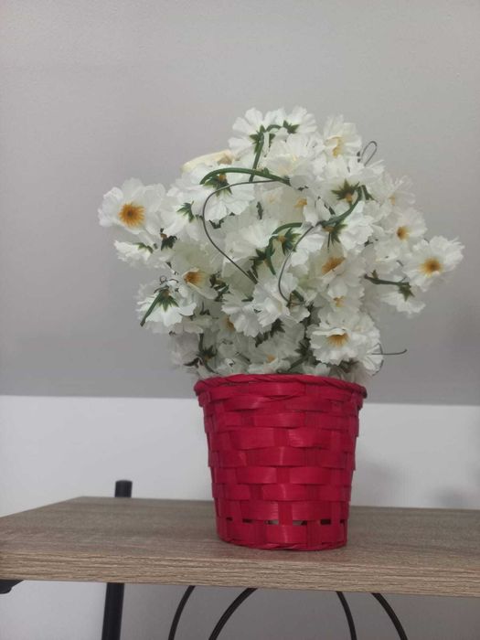 Vând tablouri și amenajări