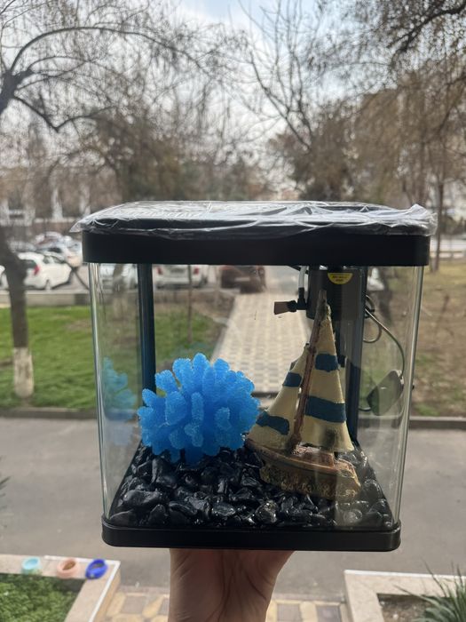 Akvarium siaftli va hamyonbob