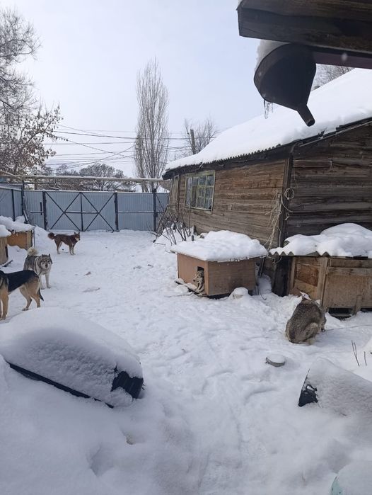 Участок. Пугачева