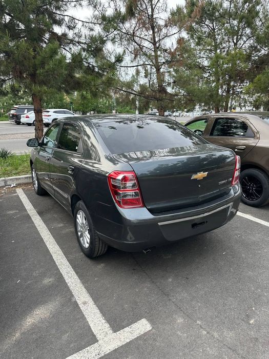 Coblt gxStail Masla Tayyor srazu notarius boladi