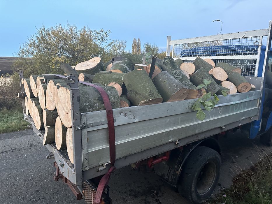 Lemn foc butuci,boci