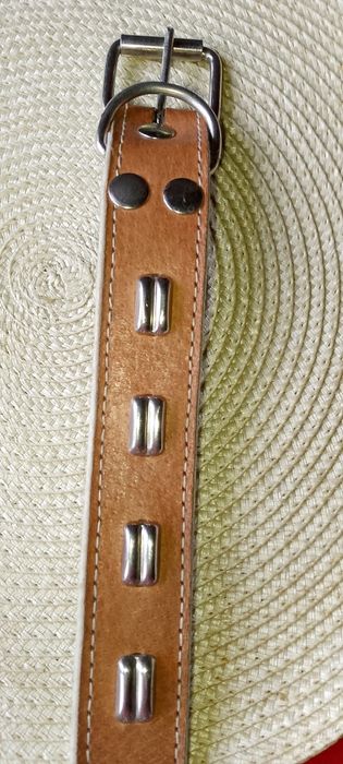 Кожаный ошейник для собаки.