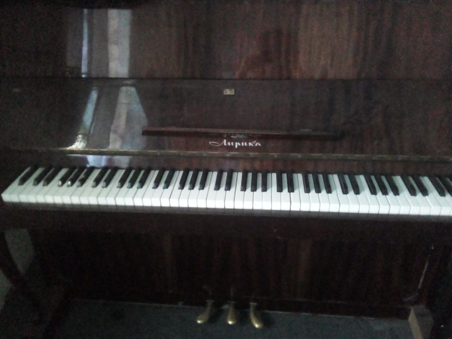 Forte pianino sotiladi