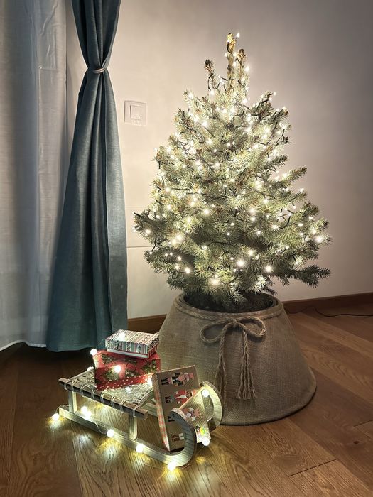 Apartament Cazare Regim Hotelier in Buna Ziua, Cluj