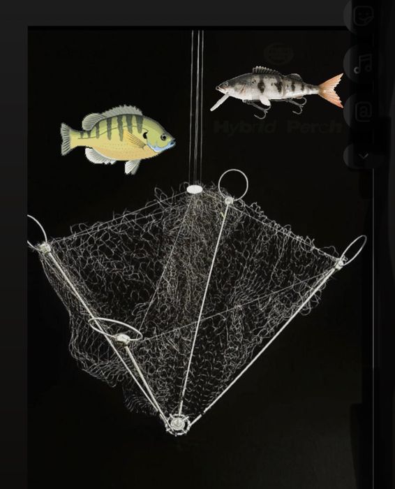 Хапуги для рыбалки