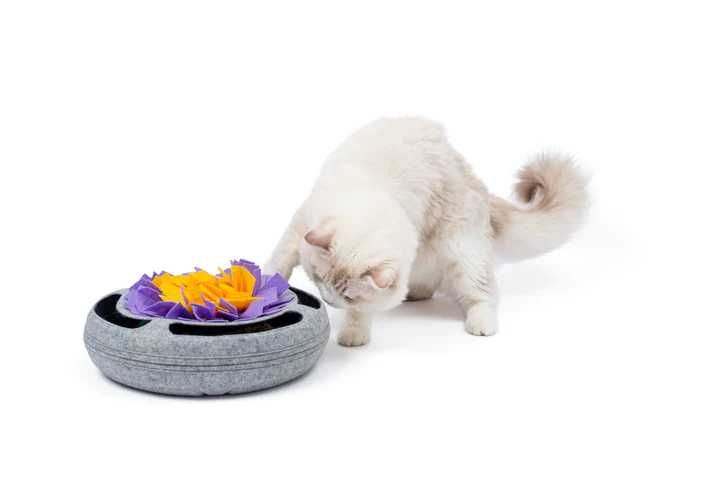 Игра за котки- пъзел - Cat Puzzle Toy