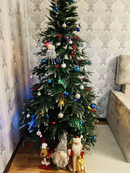 Продам елку,высота 210