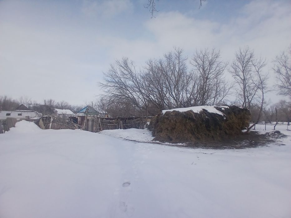 Шет ау. Акой ауылы. Уй сатылады