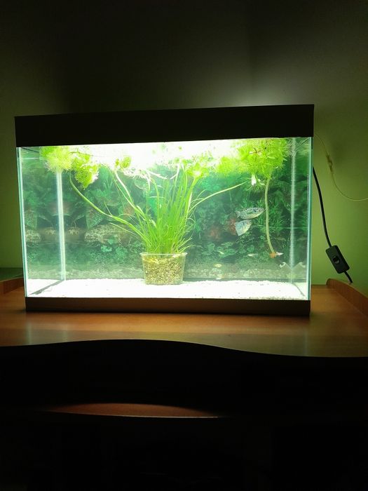 Продам новый аквариум