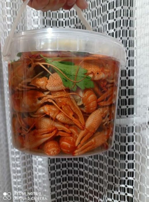 Сочные Горячие Раки !!!