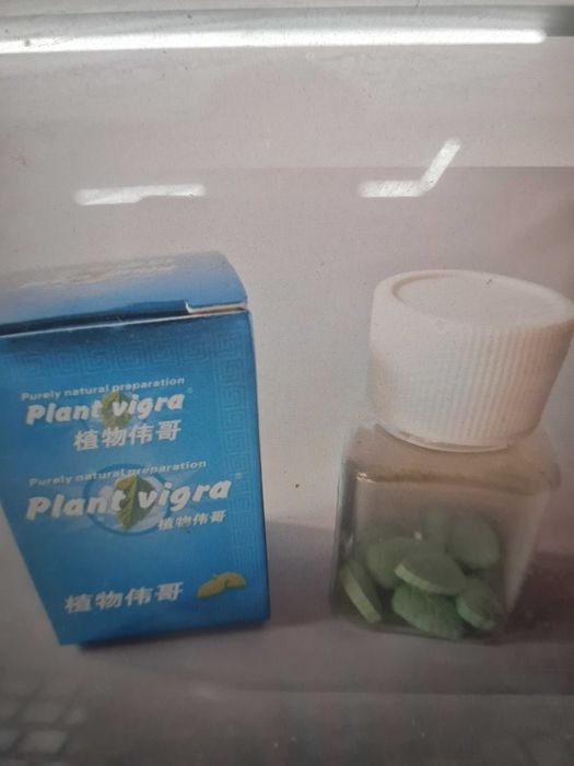 Plant V - Frunzulite