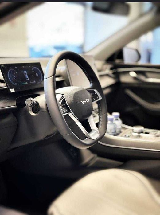 Byd chazor active