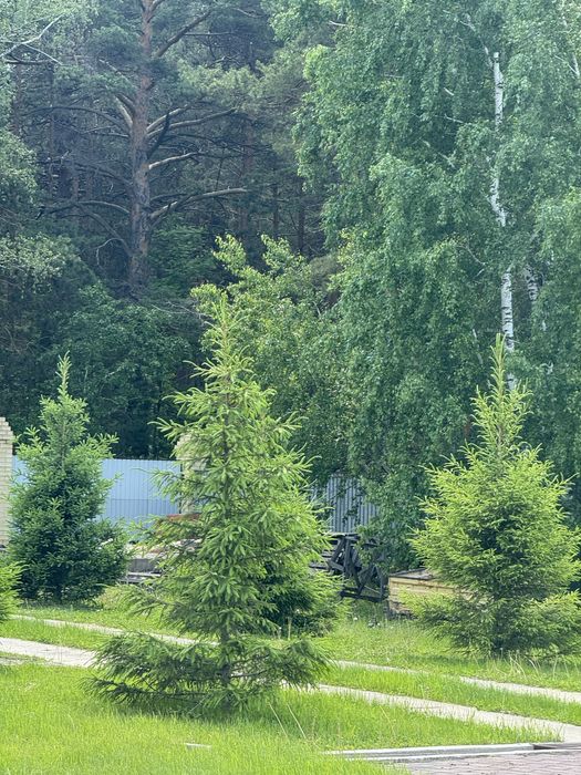 Коттедж в курортной зоне