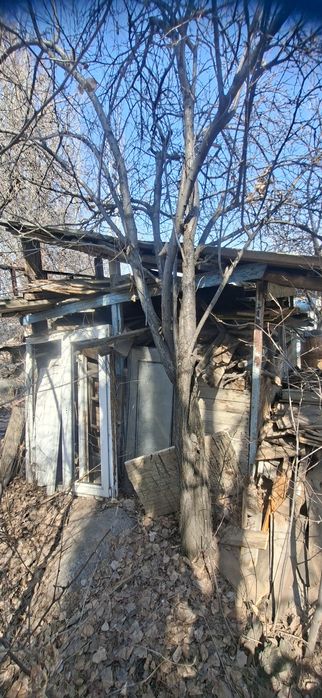 Дрова и доски не пиленые.