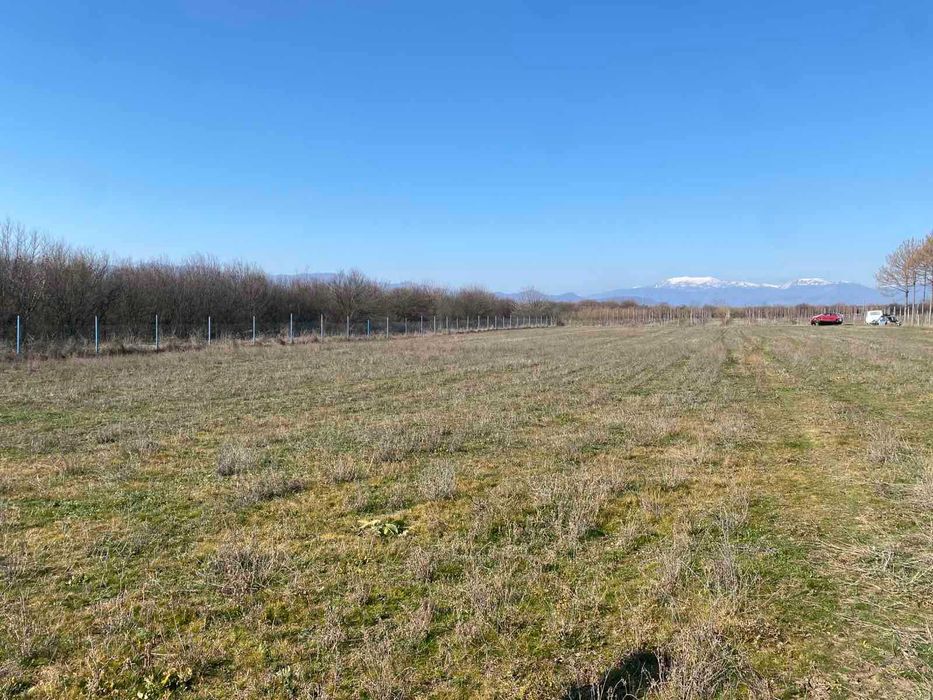 Продава се Парцел в с. Дъбене, Област Пловдив - 6000 кв.м за 6 €/кв.м - Снимка #7