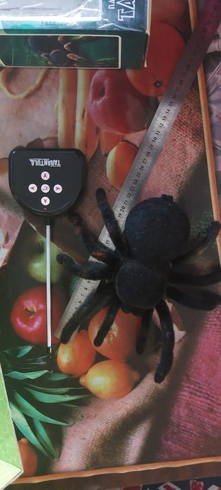 Паук на пульте управления