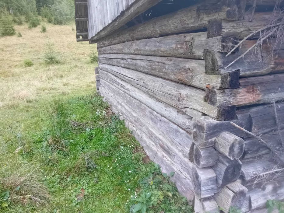 Vând Grajd tradițional din lemn rotund – Câmpulung Moldovenesc